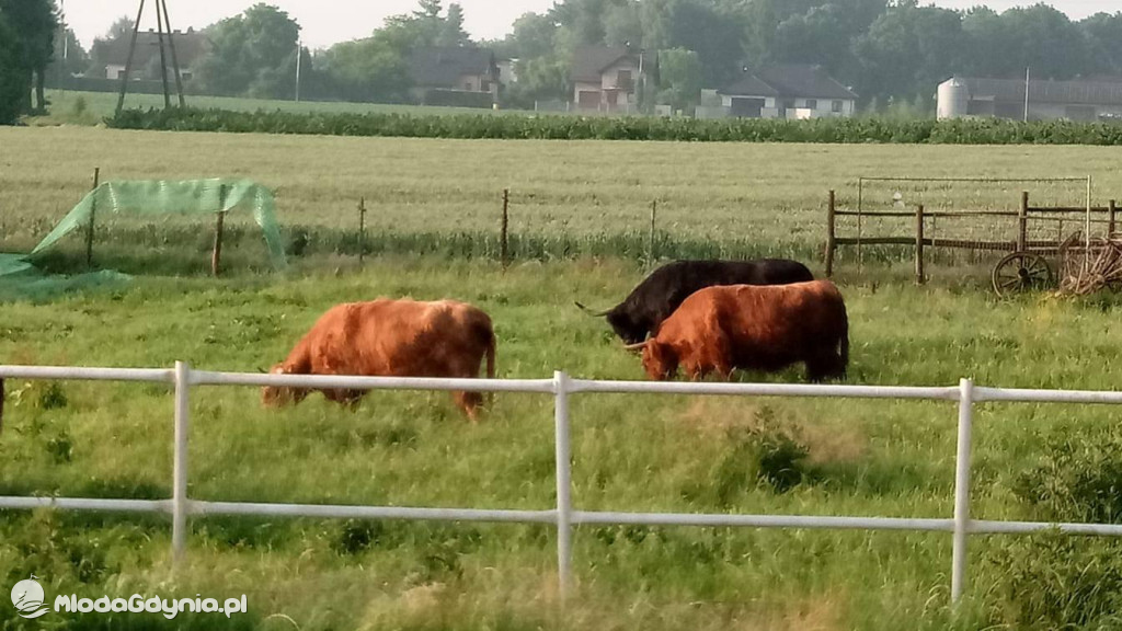 Marsz wzdłuż Wisły - dzień 2