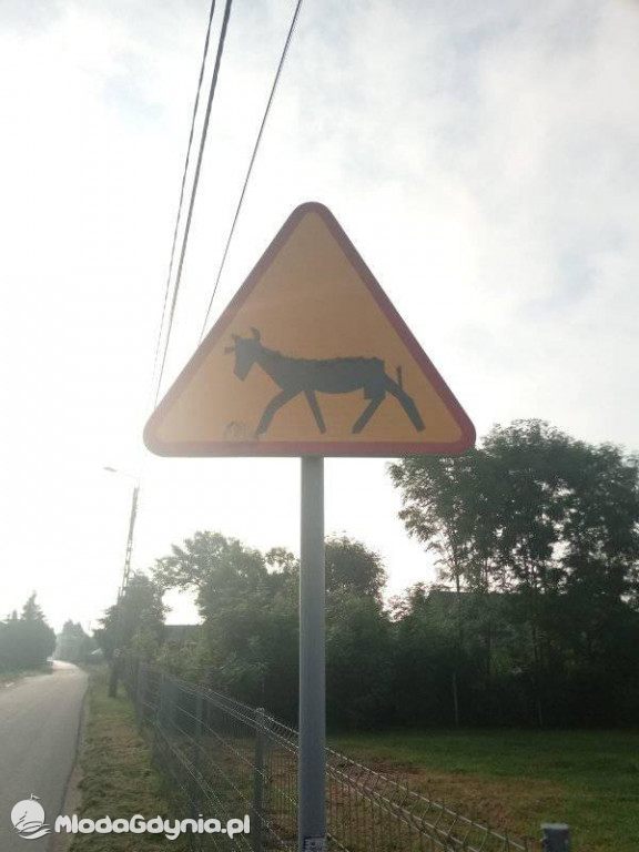 Marsz wzdłuż Wisły - dzień 2