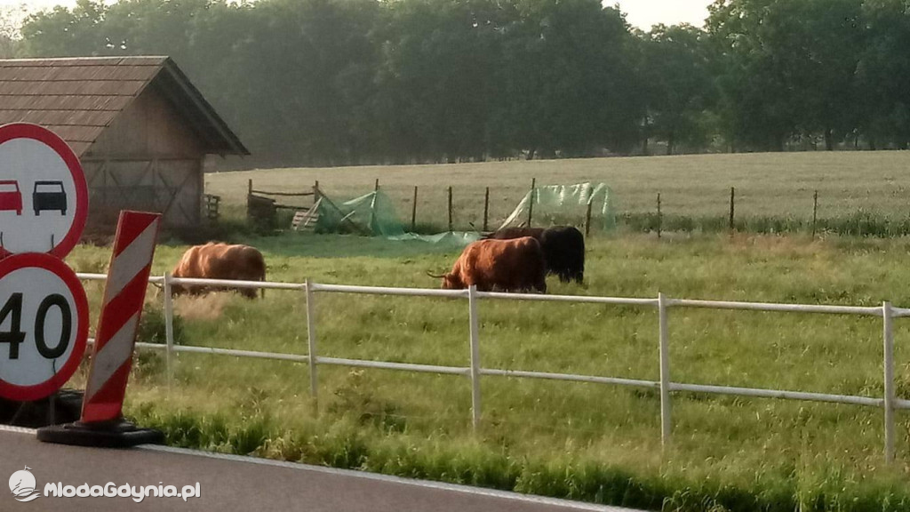 Marsz wzdłuż Wisły - dzień 2