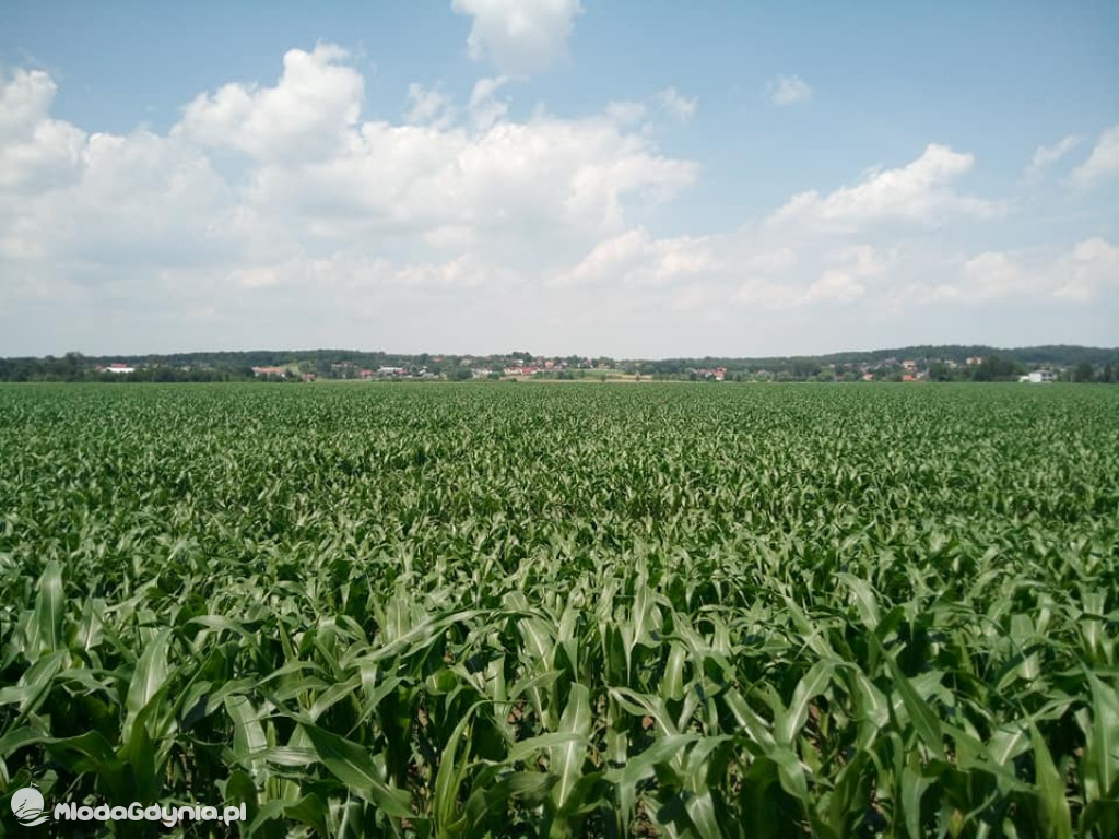 Marsz wzdłuż Wisły - dzień 3