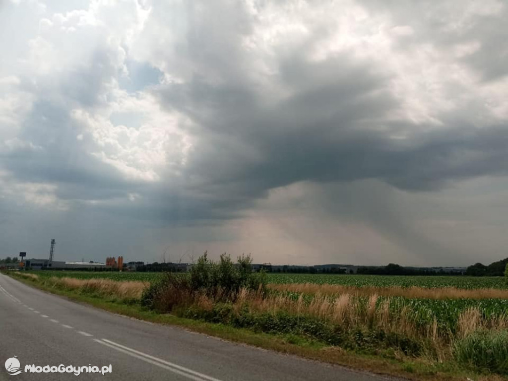 Marsz wzdłuż Wisły - dzień 4