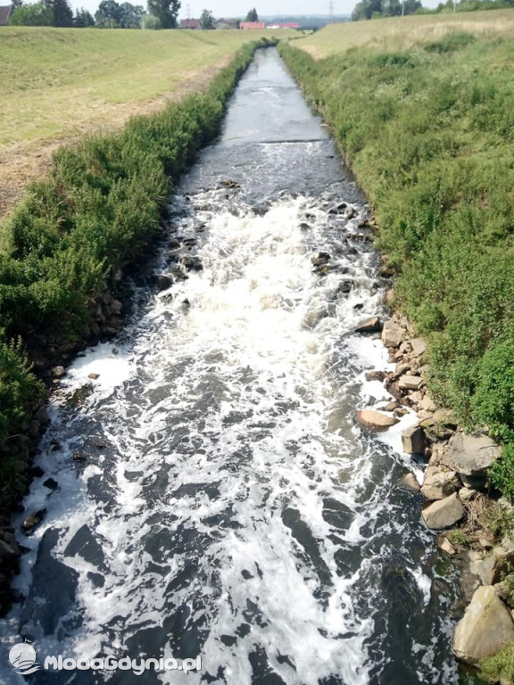 Marsz wzdłuż Wisły - dzień 4