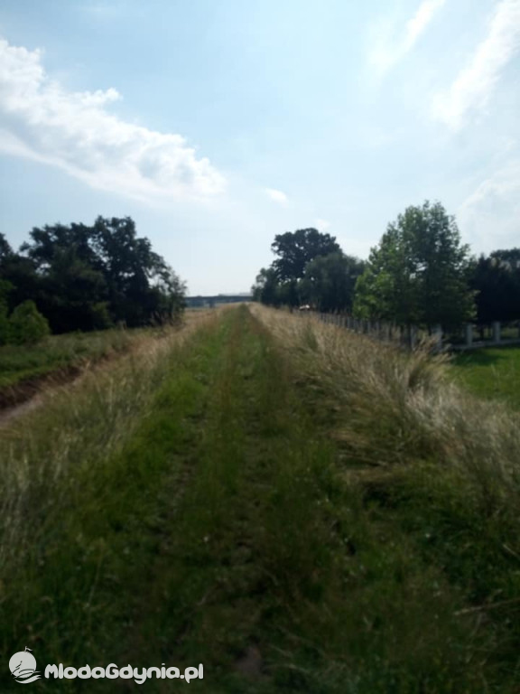 Marsz wzdłuż Wisły - dzień 4