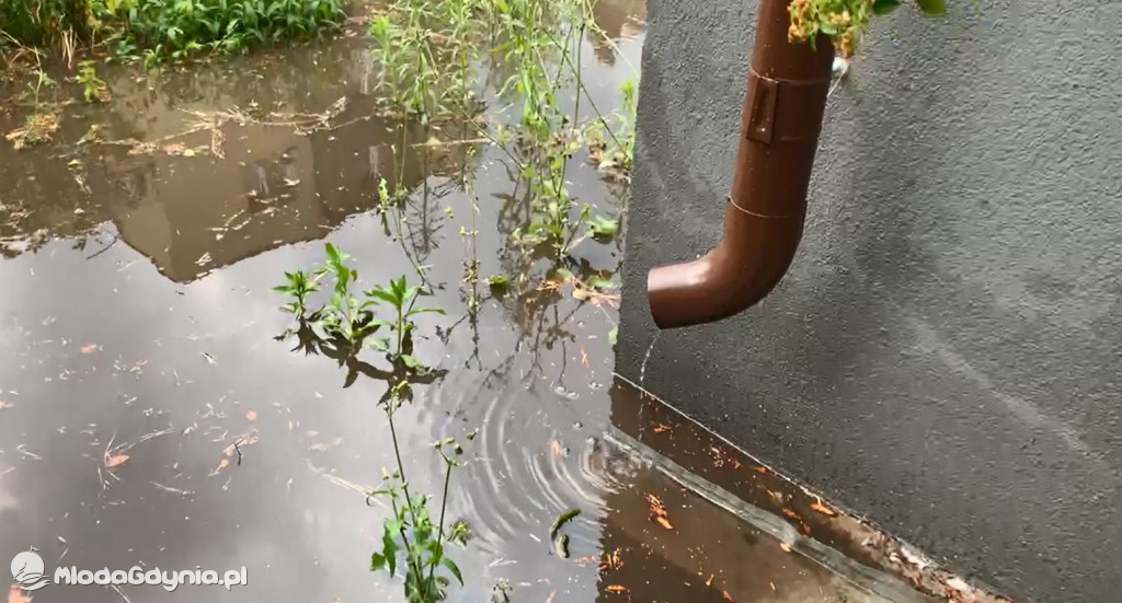 Potok Demptowski - podtopienia na Demptowie 30.06.2021