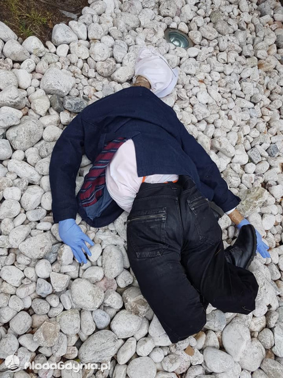 Taczki dla Czarnka - happening Lewicy w Gdyni