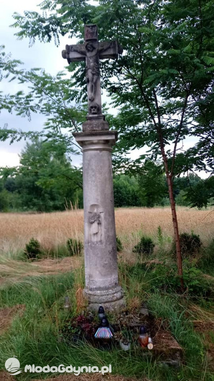 Marsz wzdłuż Wisły - dzień 6