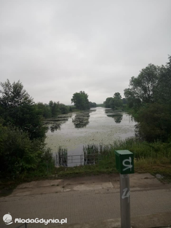 Marsz wzdłuż Wisły - dzień 8, 9, 10, 11, 12, 13