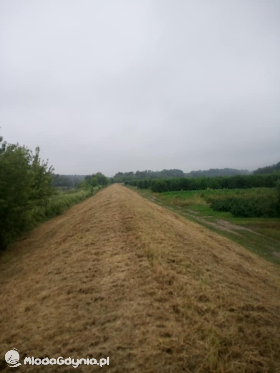 Marsz wzdłuż Wisły - dzień 8, 9, 10, 11, 12, 13