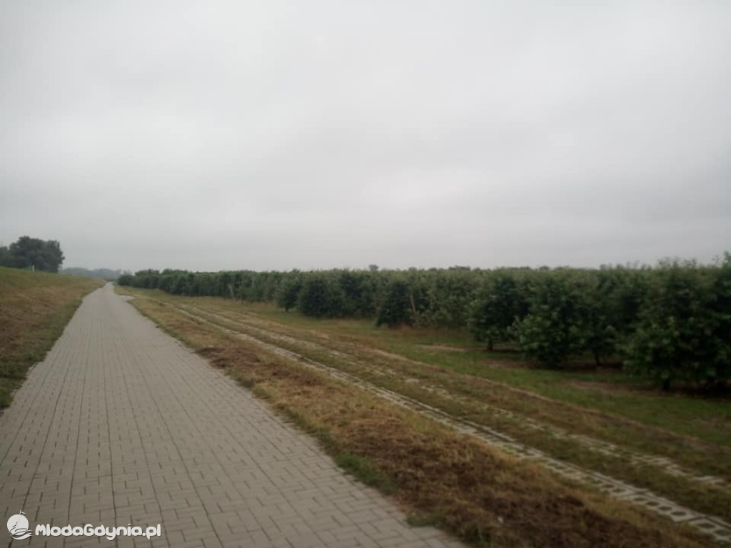 Marsz wzdłuż Wisły - dzień 8, 9, 10, 11, 12, 13