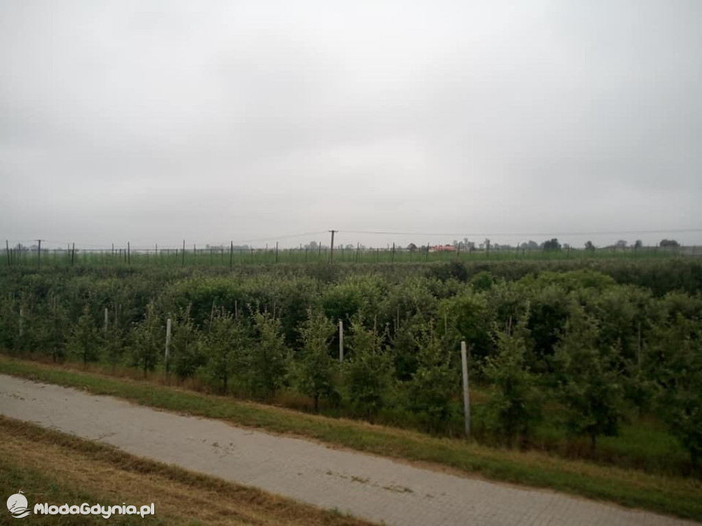 Marsz wzdłuż Wisły - dzień 8, 9, 10, 11, 12, 13