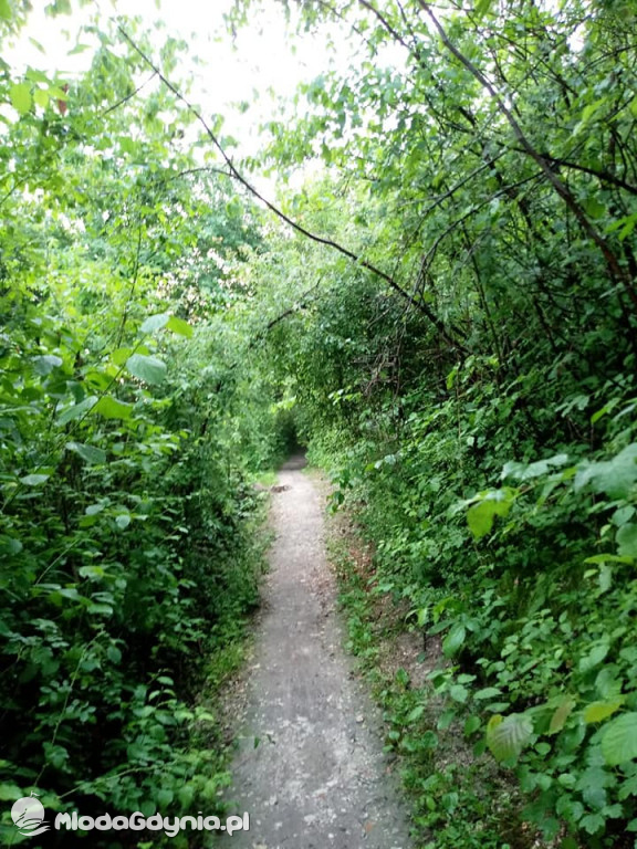 Marsz wzdłuż Wisły - dzień 8, 9, 10, 11, 12, 13