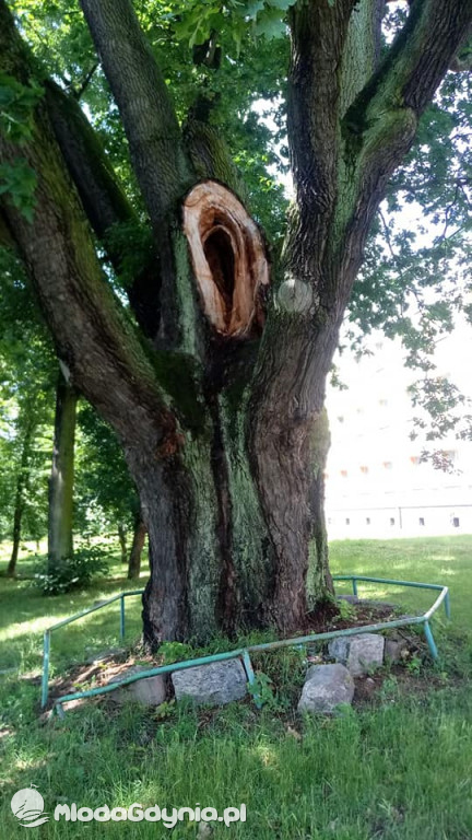 Marsz wzdłuż Wisły - dzień 8, 9, 10, 11, 12, 13