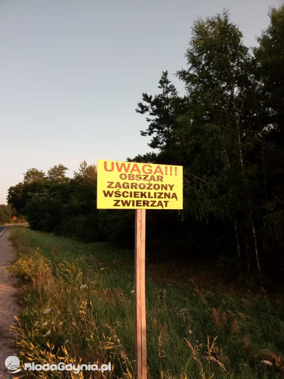 Marsz wzdłuż Wisły - dzień 8, 9, 10, 11, 12, 13