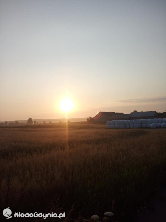 Marsz wzdłuż Wisły - dzień 8, 9, 10, 11, 12, 13