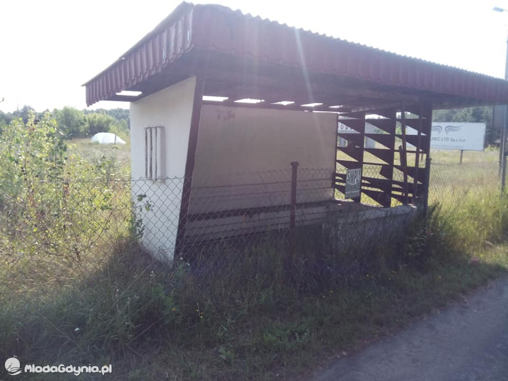 Marsz wzdłuż Wisły - dzień 16 i 17 (Włocławek, Toruń)