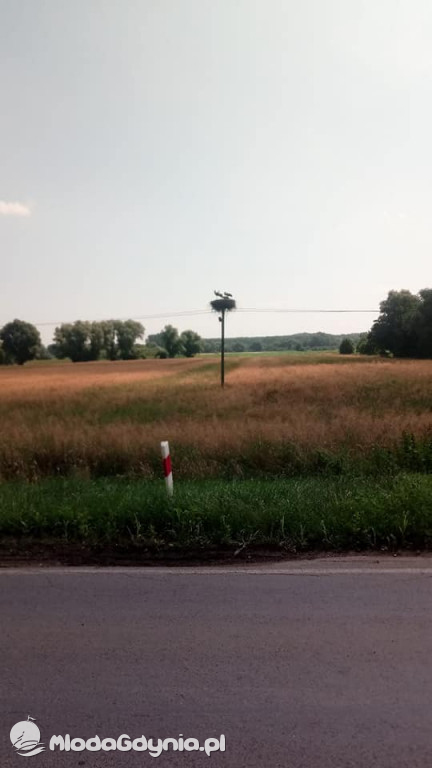 Marsz wzdłuż Wisły - dzień 18,19,20