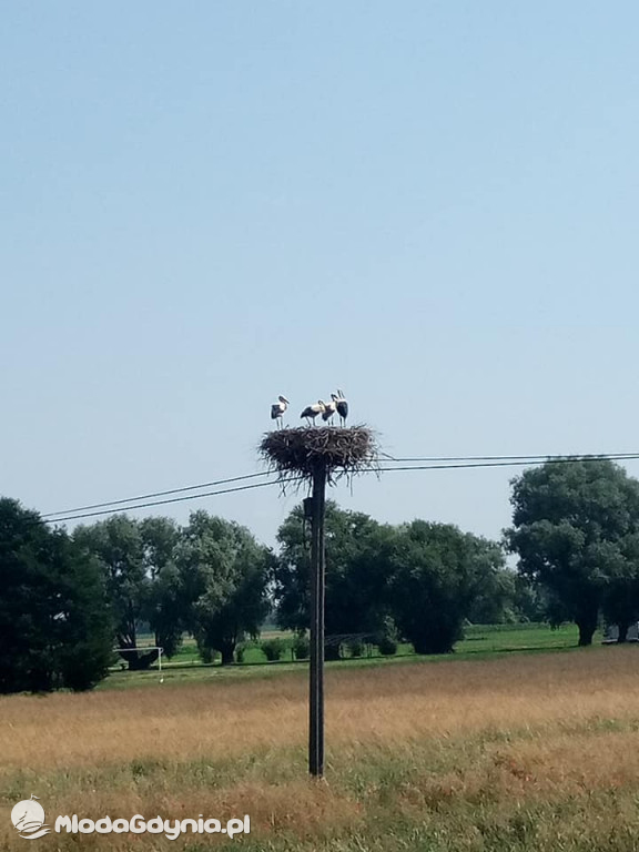Marsz wzdłuż Wisły - dzień 18,19,20
