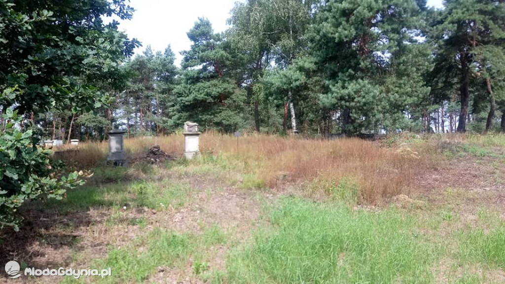 Marsz wzdłuż Wisły - dzień 18,19,20