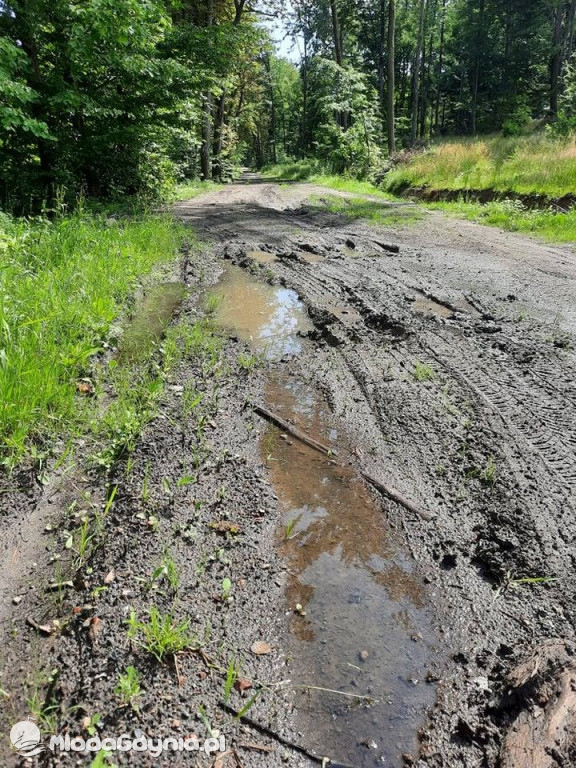Błotnista ścieżka rowerowa w Karuzach