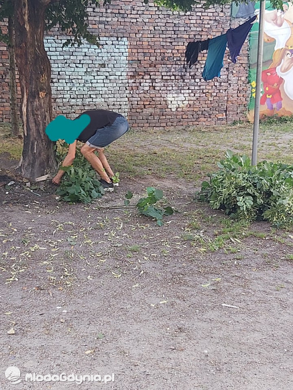 Inicjatywa mieszkańców ul. Grunwaldzkiej w Lęborku