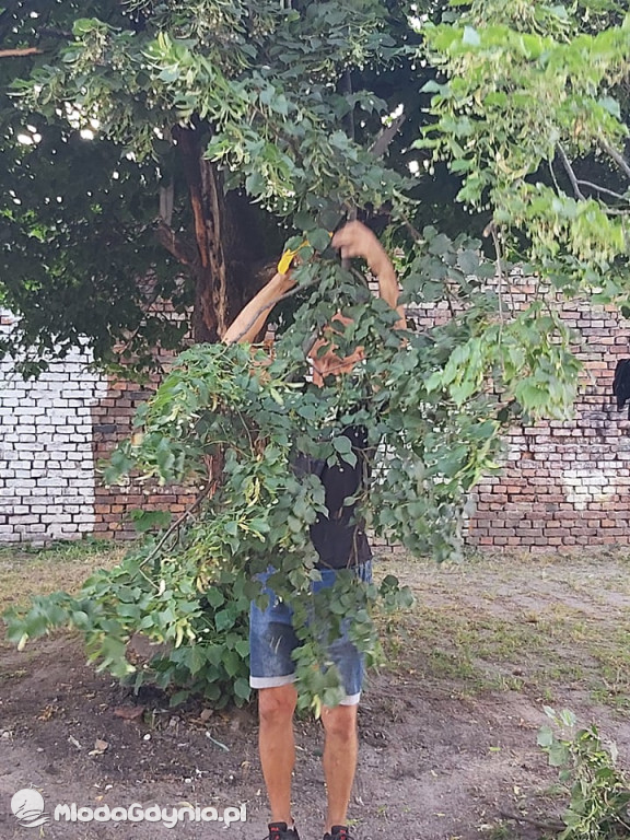 Inicjatywa mieszkańców ul. Grunwaldzkiej w Lęborku