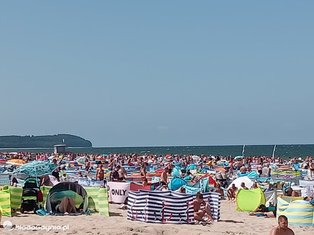 A tym czasem na plaży we Władysławowie