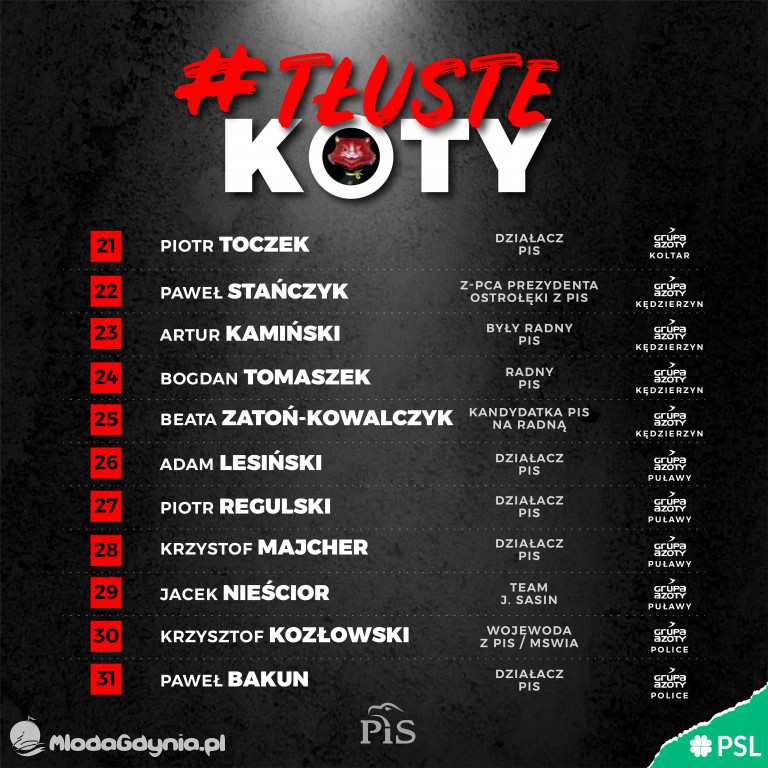 Tłuste koty