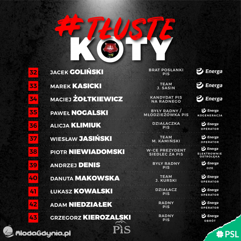 Tłuste koty