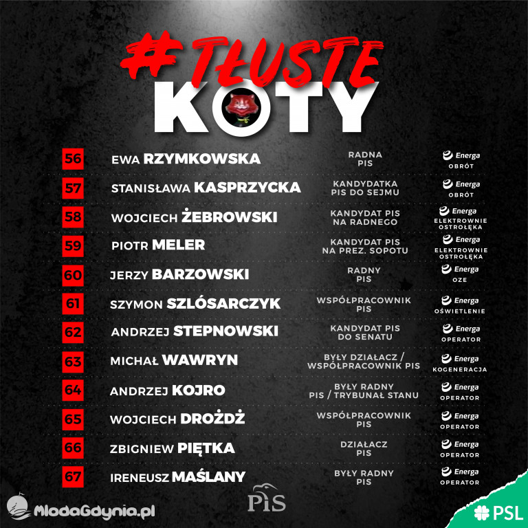 Tłuste koty