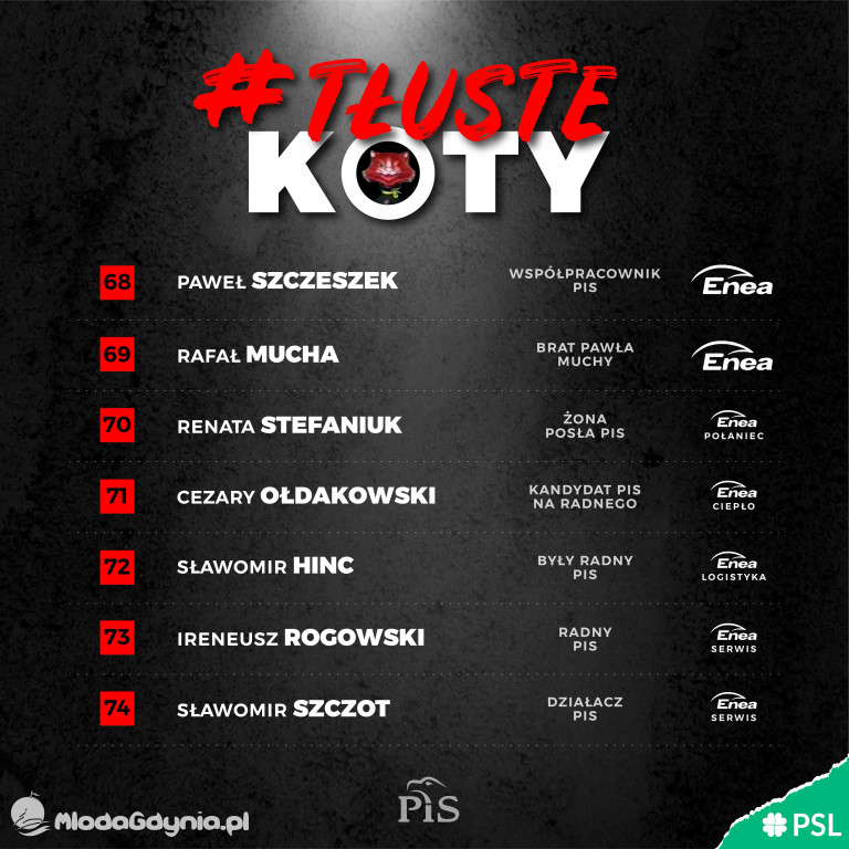 Tłuste koty