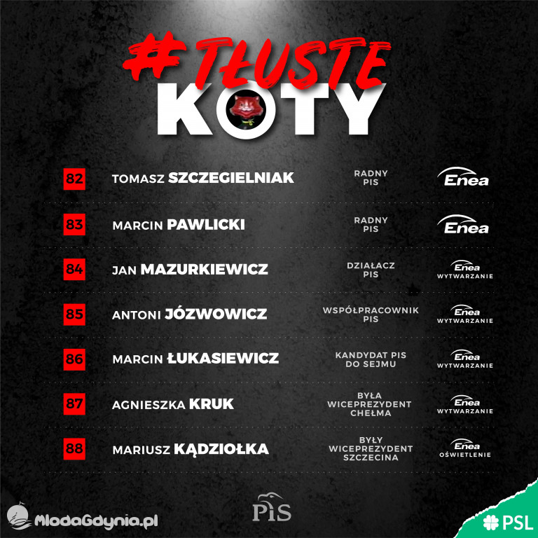 Tłuste koty