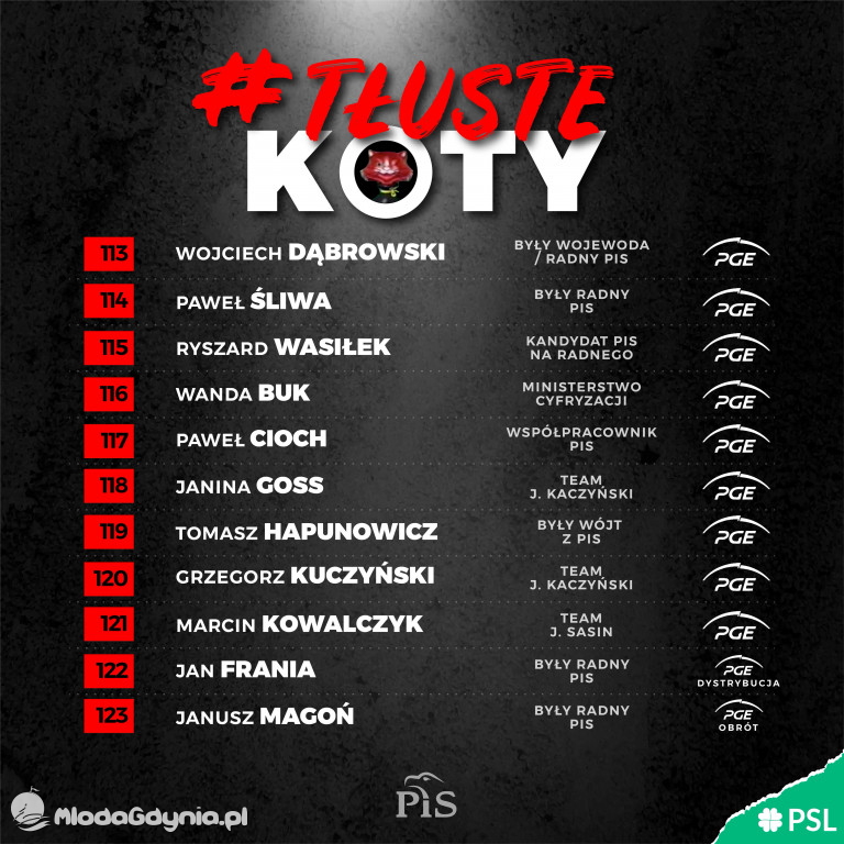Tłuste koty