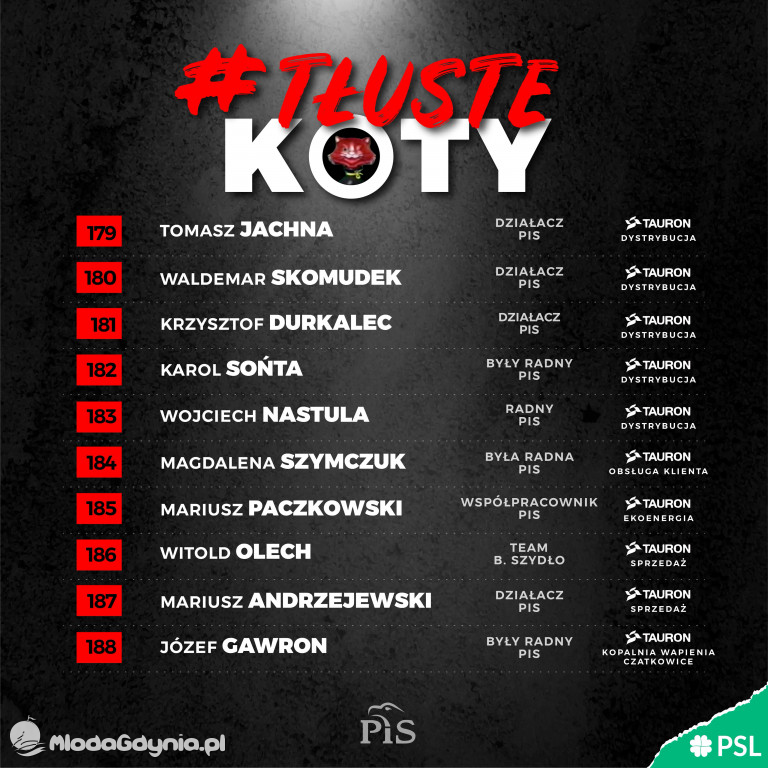 Tłuste koty