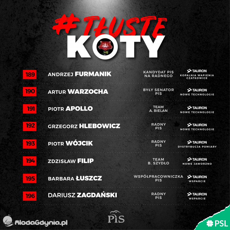 Tłuste koty