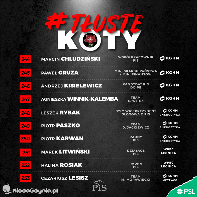 Tłuste koty