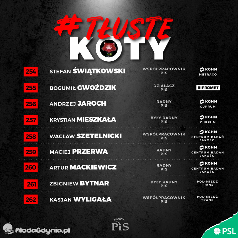 Tłuste koty