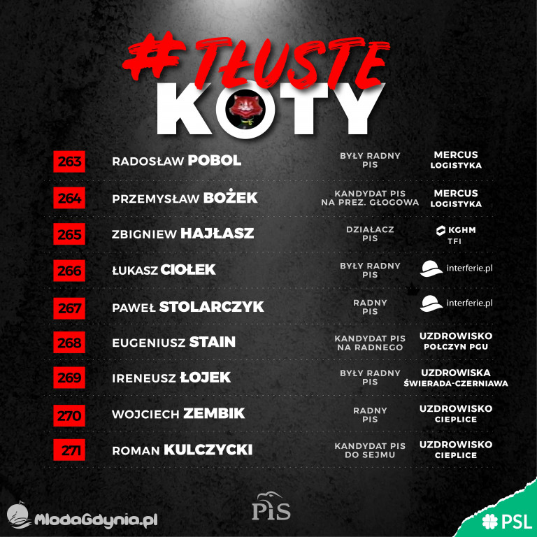 Tłuste koty