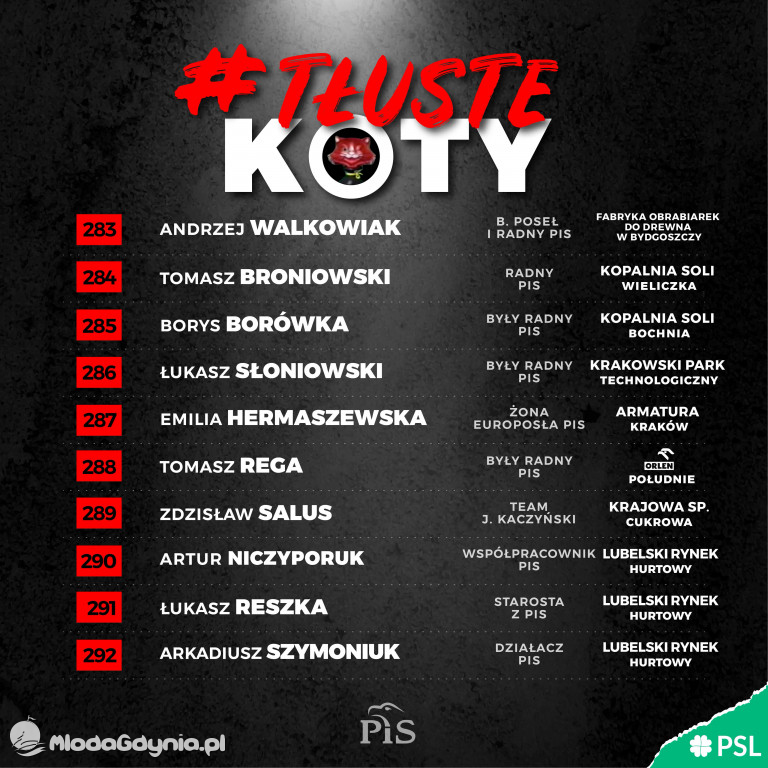Tłuste koty