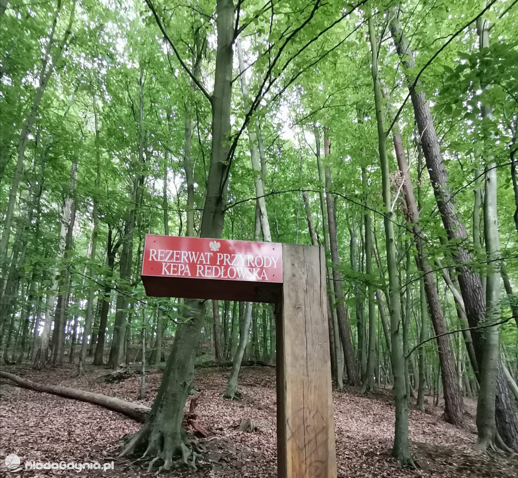 Spacer po Kępie Redłowskiej 21.07.2021