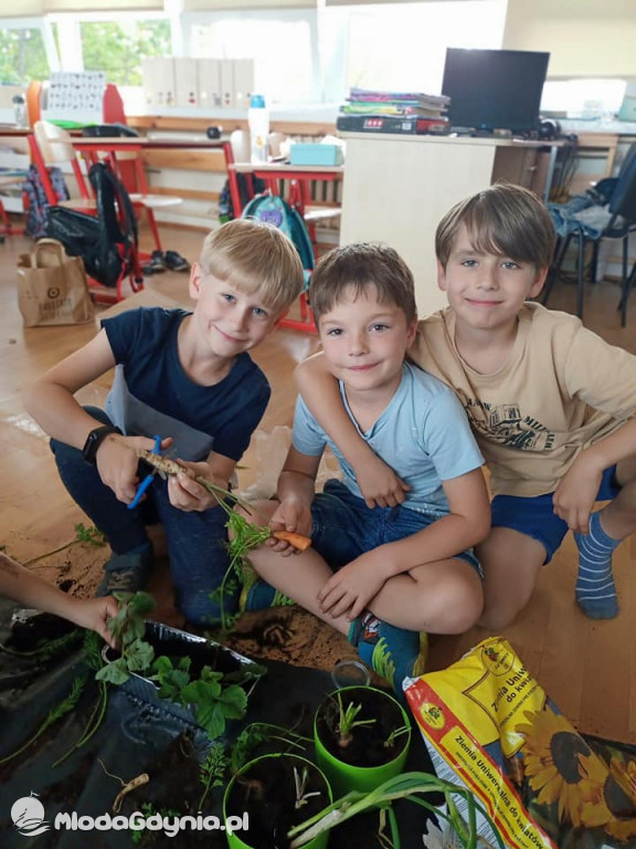 SP 51 - I b  założyła własną plantację roślin, a zerówka i II a były w Marszewie