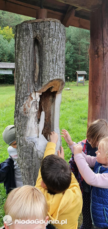 SP 51 - I b  założyła własną plantację roślin, a zerówka i II a były w Marszewie