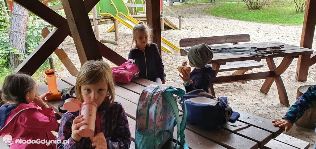 SP 51 - I b  założyła własną plantację roślin, a zerówka i II a były w Marszewie