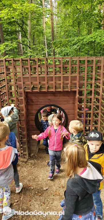 SP 51 - I b  założyła własną plantację roślin, a zerówka i II a były w Marszewie