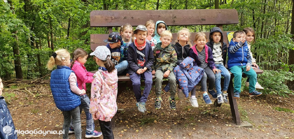 SP 51 - I b  założyła własną plantację roślin, a zerówka i II a były w Marszewie