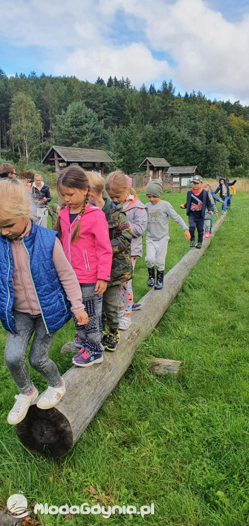 SP 51 - I b  założyła własną plantację roślin, a zerówka i II a były w Marszewie