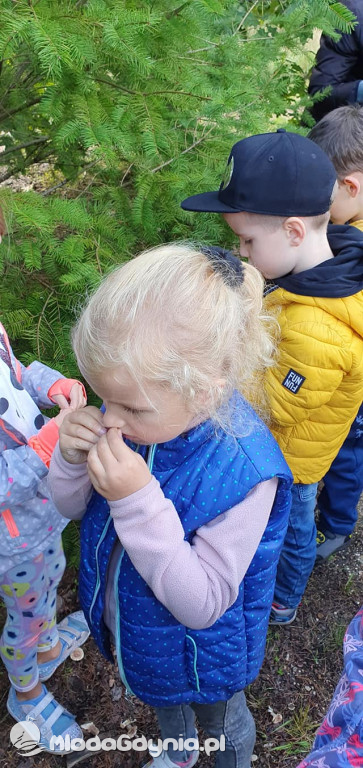 SP 51 - I b  założyła własną plantację roślin, a zerówka i II a były w Marszewie