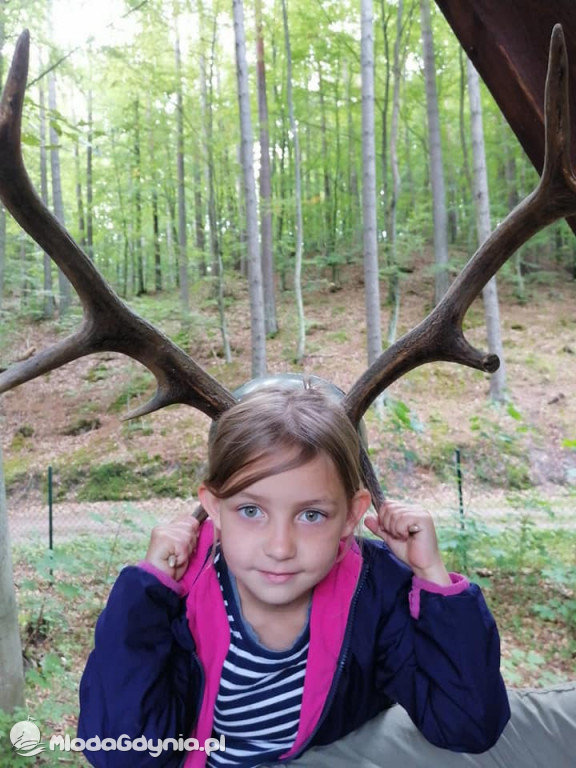 SP 51 - I b  założyła własną plantację roślin, a zerówka i II a były w Marszewie