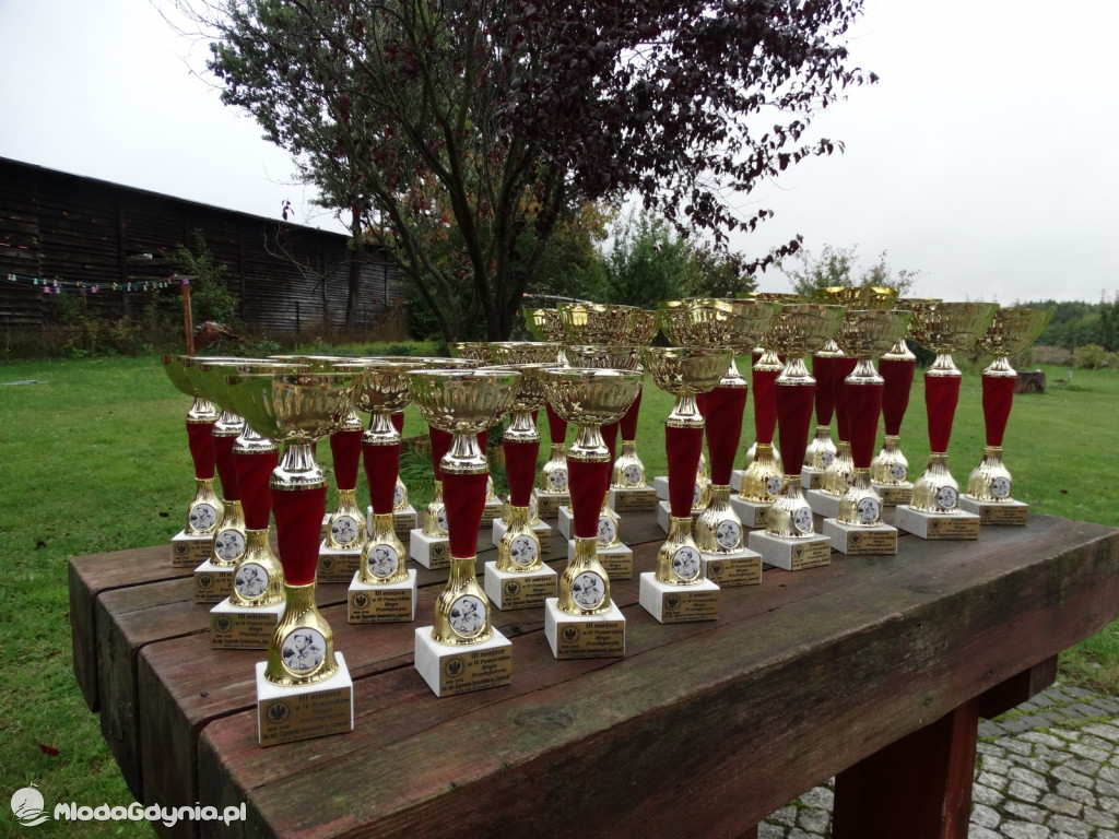 IV Pomorski Bieg Przełajowy im. majora Zygmunta Szendzielarza III