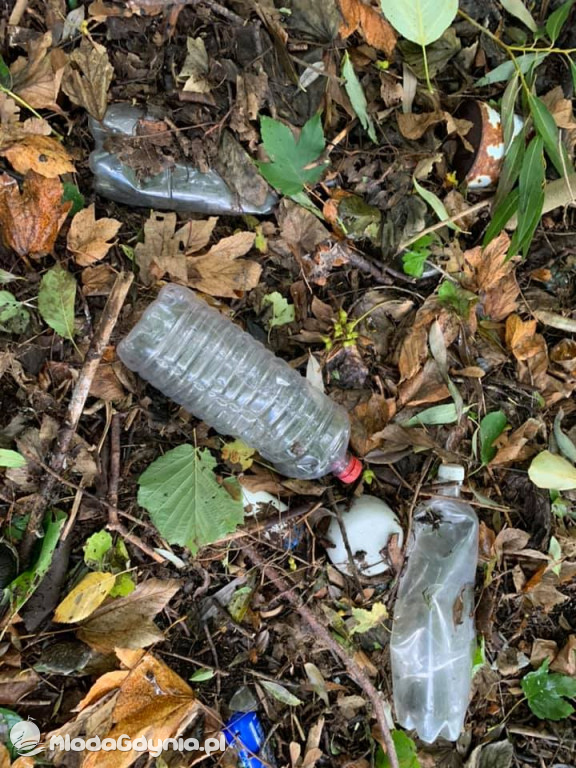 Sprzątanie jeziora Łapalickiego