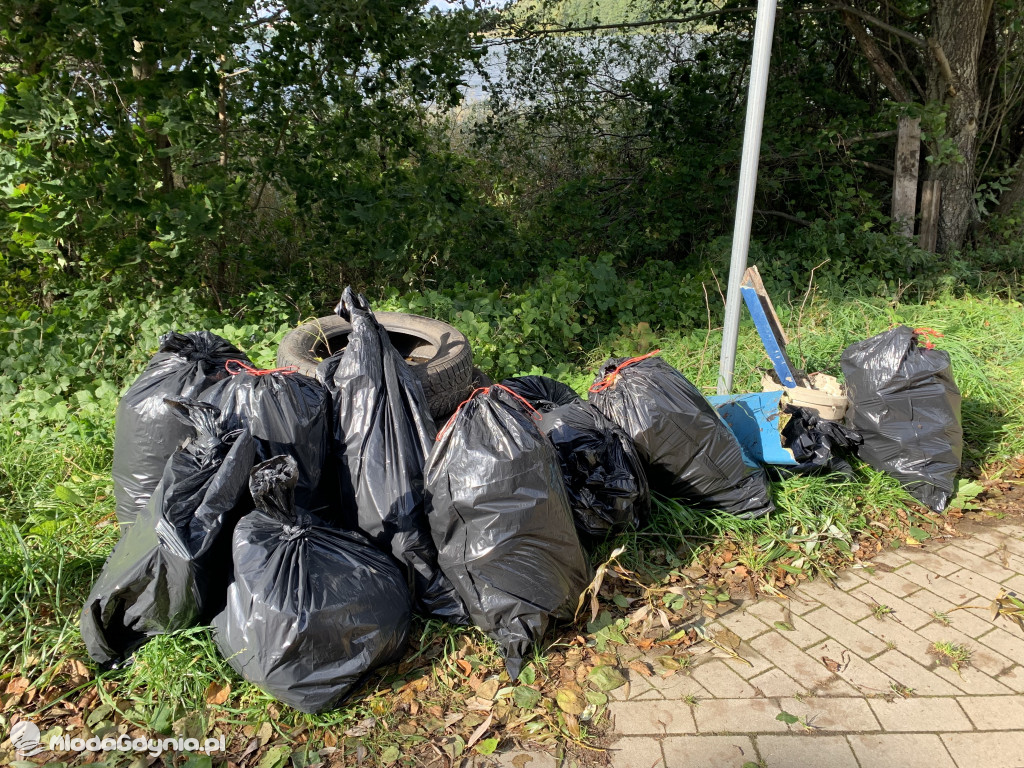 Sprzątanie jeziora Łapalickiego
